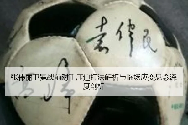 张伟丽卫冕战前对手压迫打法解析与临场应变悬念深度剖析 | xingkong.com